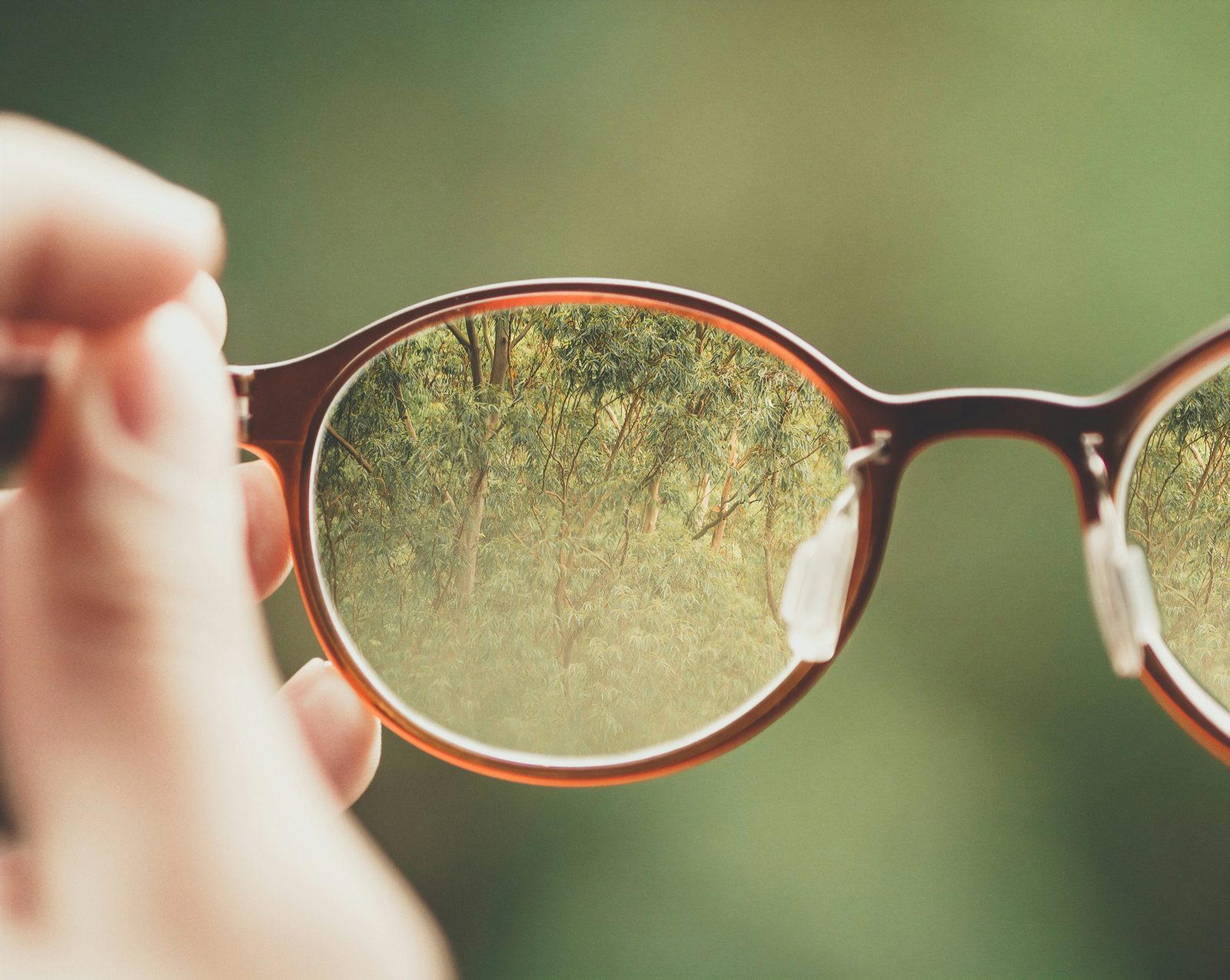 A hand holding glasses up to a landscape; the view is sharp inside the lens and blurred outside it.